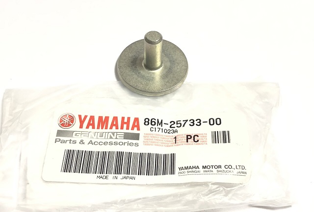 Yamaha Viking 540 Заглушка 86M-25733-00 в интернет-магазине Снегоход Буран